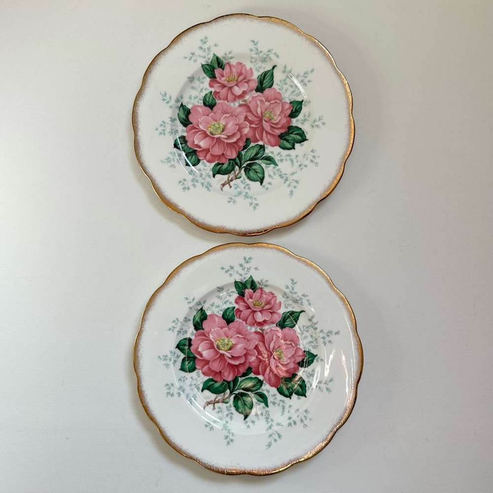 2 Vintage Plates - Camellia Pattern